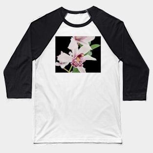 Close-up of an orchid plant Baseball T-Shirt